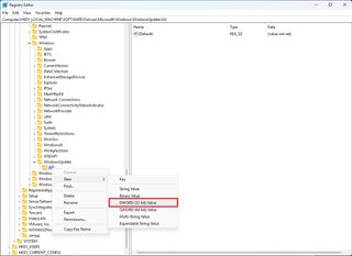 NoAutoUpdate regedit key