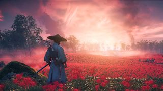 Ghost of Tsushima flower field.