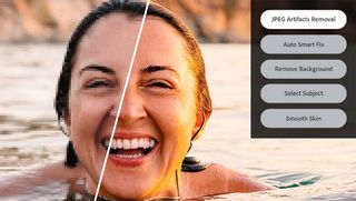 Adobe Photoshop Elements JPEG artifact removal